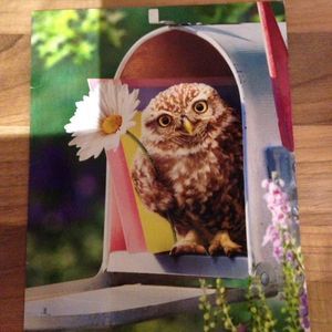 Meet your Posher, Jen